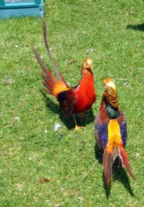 The battle - scene 5