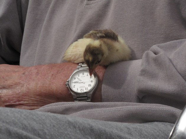 Could I stay a bit longer? It's only early.