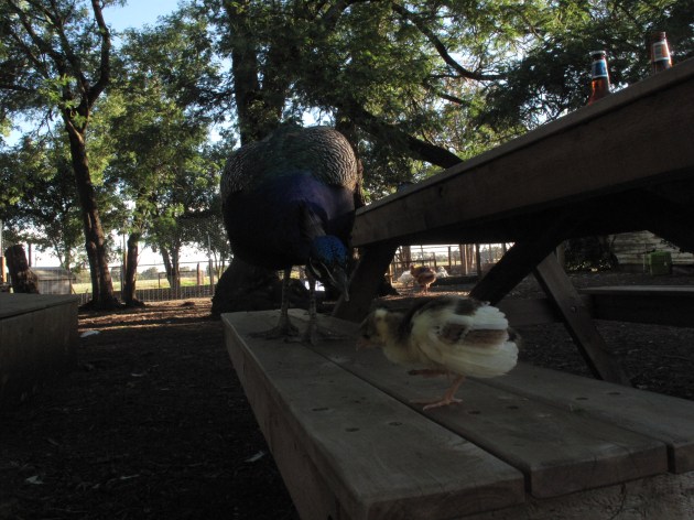 And this must be Dad!